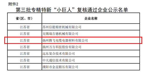 喜訊！揚州騰飛成功通過國家級專精特新“小巨人”企業(yè)復核