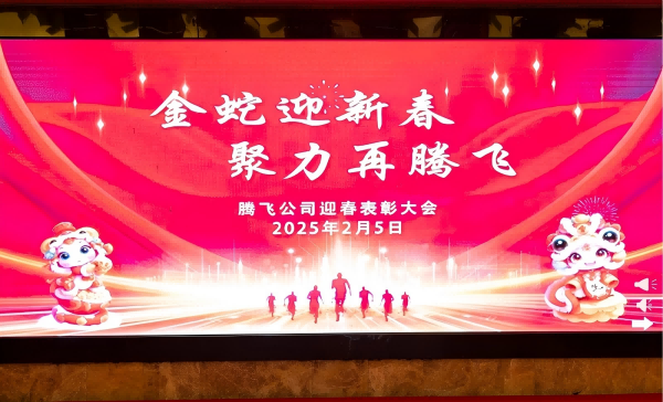 騰飛公司召開迎春表彰大會(huì)